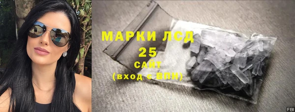 шишки Гусь-Хрустальный