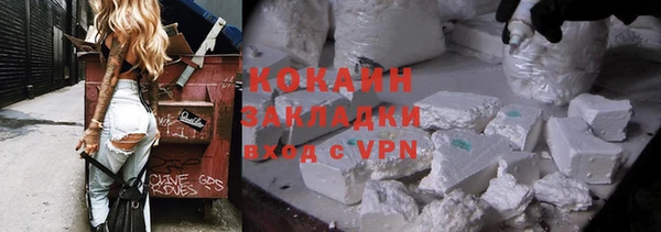 шишки Гусь-Хрустальный