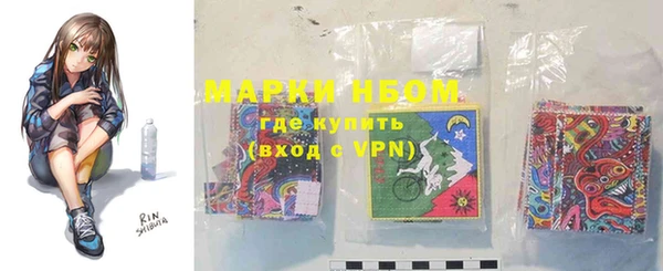 шишки Гусь-Хрустальный