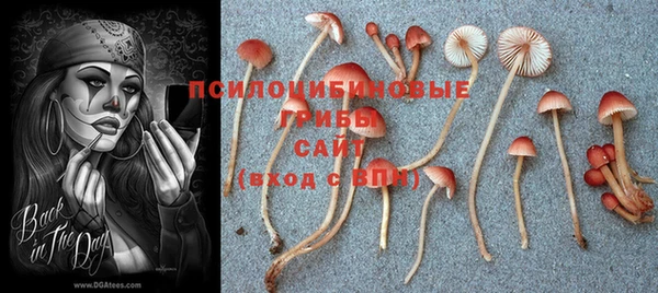 мефедрон Гусев