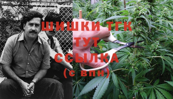 метадон Гусиноозёрск