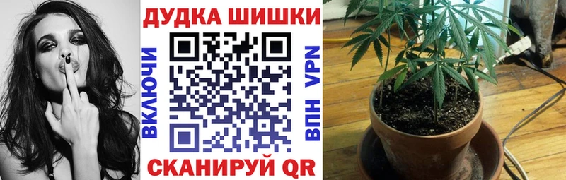 Бошки марихуана планчик  Купить закладки  Калачинск 